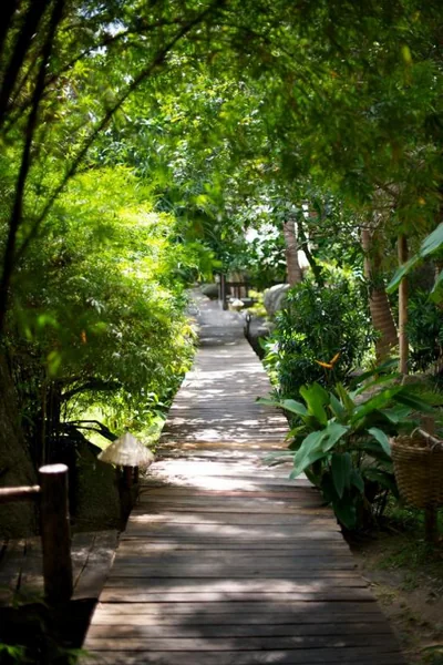 Sensi Paradise Beach Resort – Photos 14